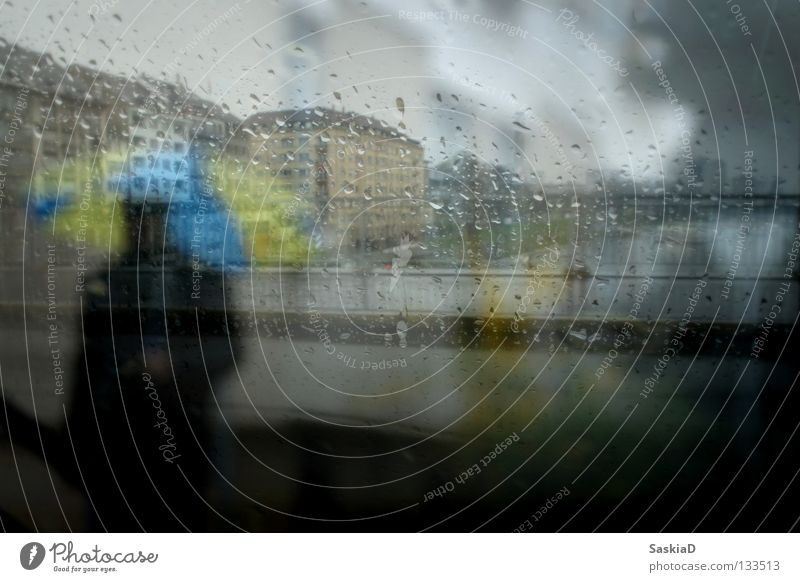 Regenmann Mann Regenschirm gelb Stadt Fenster schlechtes Wetter trüb kalt Haus grau Schatten blau glass Fensterscheibe Rhein Einsamkeit