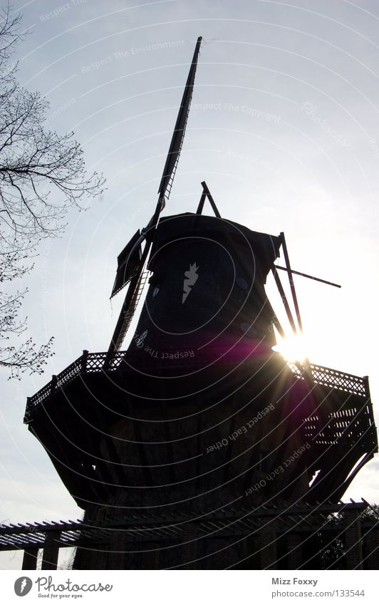 Windmill Windmühle Dämmerung Mehl zerkleinern Potsdam Brandenburg Deutschland historisch Abend Sonne Flügel Schatten Kontrast Himmel Schloss Sanssouci