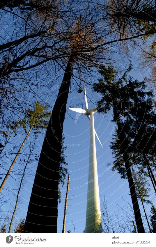 Naturpower Windkraftanlage Elektrizität Himmel Nadelbaum Wald himmelblau Geometrie Laubbaum Perspektive Nadelwald Waldwiese Paradies Waldlichtung Kraft