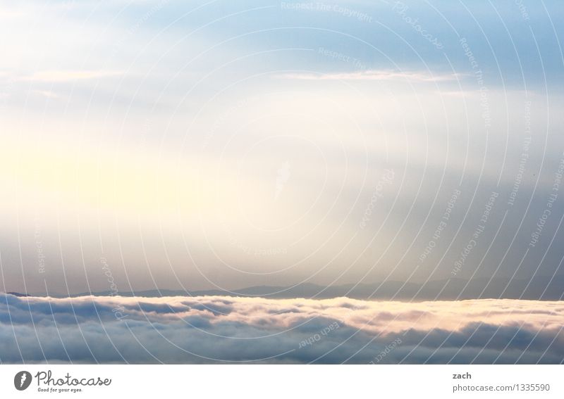 zwischen Wolken und Himmel Natur Schönes Wetter schlechtes Wetter Nebel Regen Hügel Berge u. Gebirge blau weiß Farbfoto Außenaufnahme Menschenleer