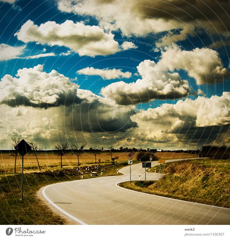 Die Kurve kriegen Umwelt Natur Landschaft Himmel Wolken Horizont Frühling Schönes Wetter Baum Gras Landkreis Teltow-Fläming Verkehr Verkehrswege Straße