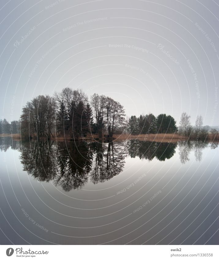 Reflex Umwelt Natur Landschaft Pflanze Wasser Himmel Horizont Schönes Wetter Baum Insel Teich See fantastisch natürlich Idylle Ferne Windstille friedlich