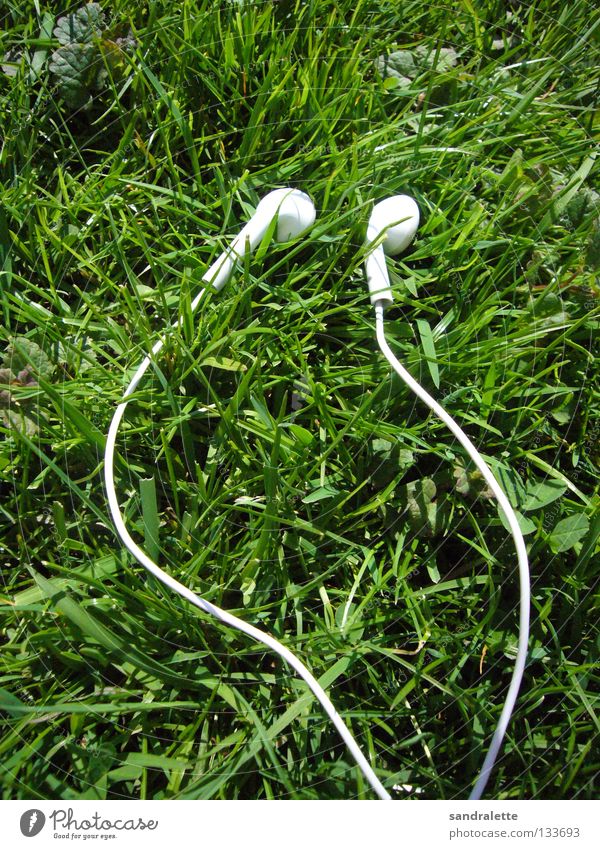 Sound of summer Gras grün Kopfhörer zuletzt Sommer Musik Park Gute Laune Freude Garten Rasen ohrhöhrer endlich sommer MP3-Player