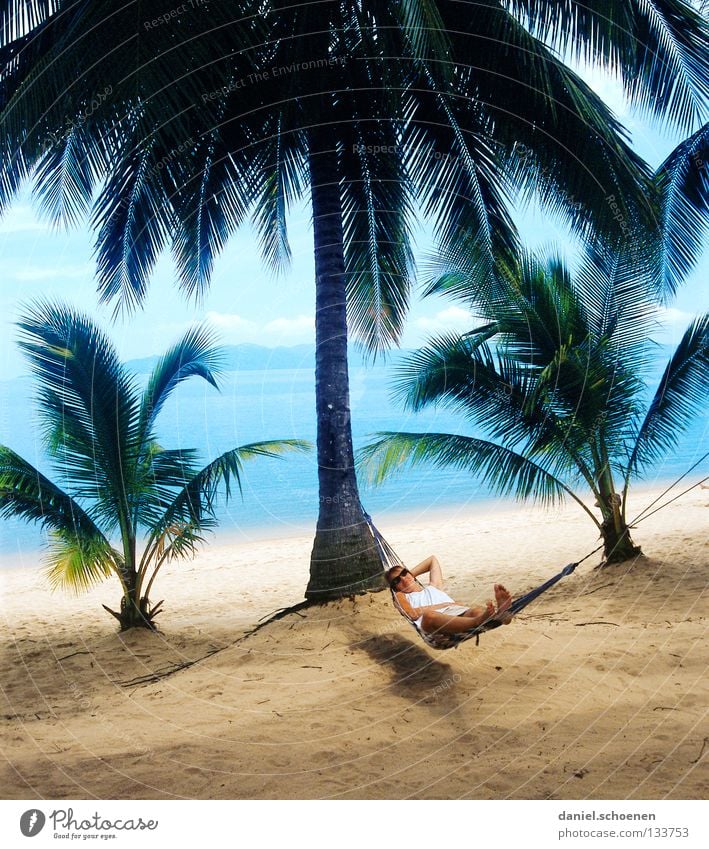 wer will das schon !!?? Palme Strand Hängematte Palmenstrand Thailand Licht Ferien & Urlaub & Reisen Erholung Meer Küste Blatt Baumstamm Physik gelb grün zyan