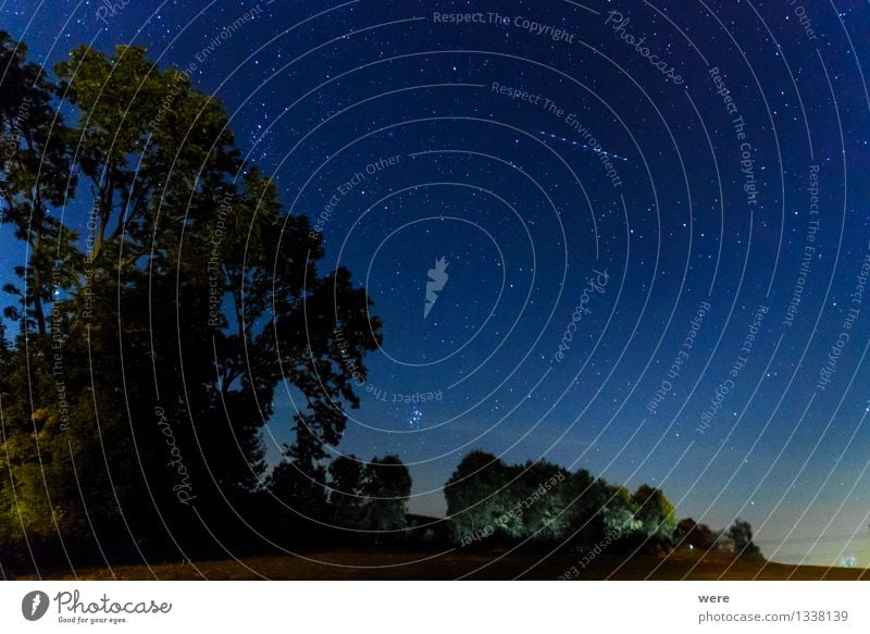Perseiden Umwelt Natur Landschaft Himmel Nachthimmel Stern Observatorium leuchten gigantisch groß Unendlichkeit Astronaut Astronomie Milchstrasse Raumflug
