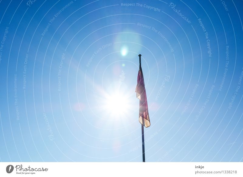 heimkommen am 3. oktober Lifestyle Himmel Wolkenloser Himmel Sonne Sonnenlicht Schönes Wetter Fahnenmast Deutsche Flagge Deutschland Streifen Gefühle Stimmung