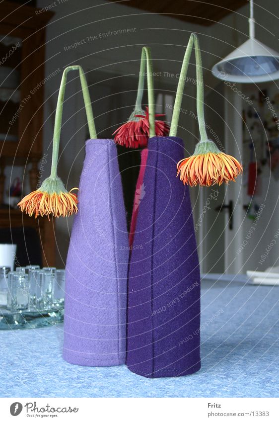 beck-motiv-21 Blume Vase Astern Häusliches Leben welk
