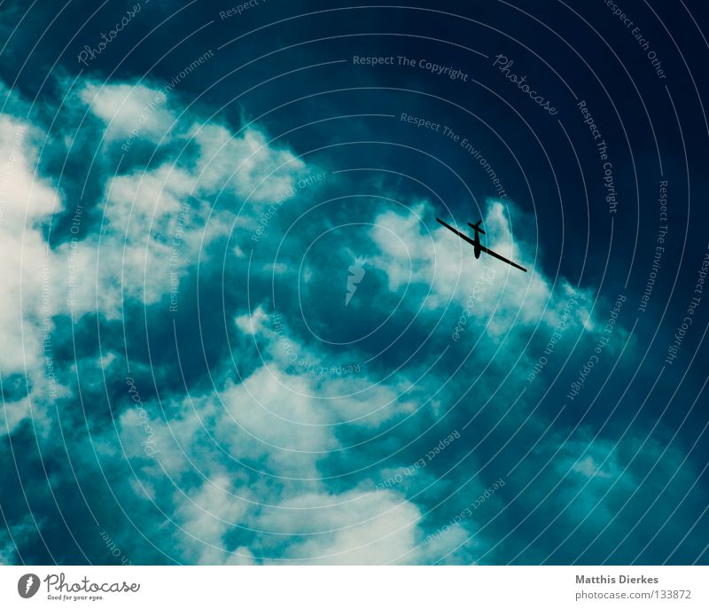Flegelsieger Flugzeug Segelflugzeug Sommer sommerlich Wolken schlechtes Wetter Lamm Altokumulus floccus grün Sonnenlicht Meer Sturm Regen Ferne Aussicht