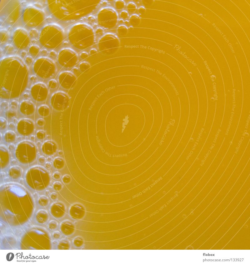 Blubber Bläschen.. Orangensaft Saft Vitamin C Zitrusfrüchte gelb Schaum Saftglas Getränk Konzentration Flüssigkeit süß lecker fruchtig Fruchtfleisch 100