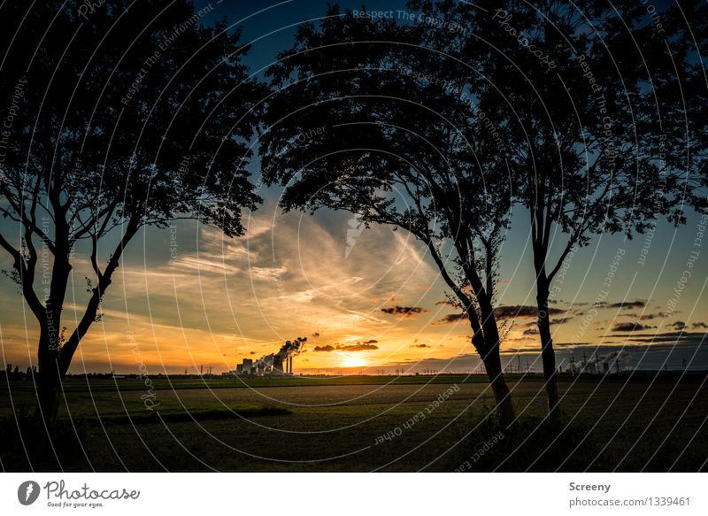 Industrielle Vorstadtromantik Energiewirtschaft Kohlekraftwerk Landschaft Pflanze Himmel Wolken Horizont Sonne Sonnenaufgang Sonnenuntergang Sonnenlicht Sommer
