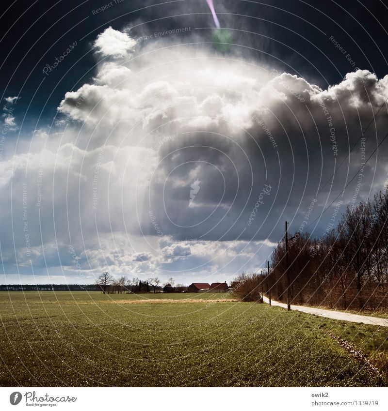 Irgendwo in Brandenburg Umwelt Natur Landschaft Pflanze Himmel Wolken Horizont Schönes Wetter Baum Gras Feld Landkreis Teltow-Fläming Deutschland Wege & Pfade
