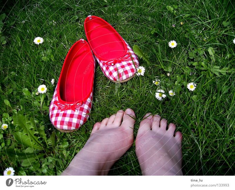 frühlingsschuh Frühling frisch Wiese Gras grün Gänseblümchen grasgrün Blume Schuhe rot kariert Sommer sommerlich weiß Zehen Barfuß Halm Löwenzahn ausschalten