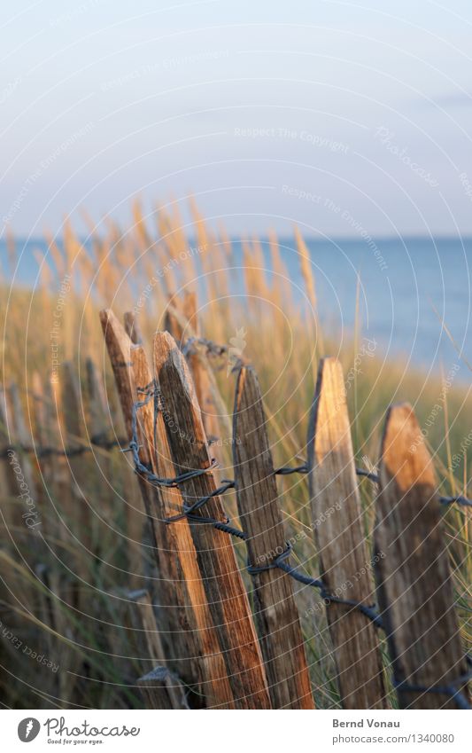 zaunzeug Ferien & Urlaub & Reisen Tourismus Freiheit Camping Sommer Sommerurlaub Strand Meer Insel blau braun gelb Zaun Holz einfach Draht Düne Sand Stranddüne