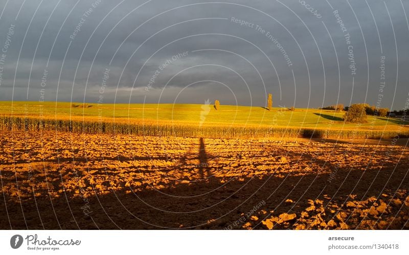 Herbst mit Fahrrad Fahrradfahren Landschaft Erde Wolken Sonne Sonnenaufgang Sonnenuntergang Sonnenlicht Schönes Wetter Feld entdecken Blick Unendlichkeit gold