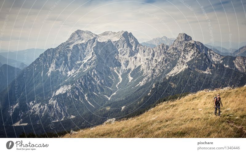 Wanderlust Freizeit & Hobby Tourismus Ausflug Abenteuer Berge u. Gebirge wandern feminin 1 Mensch Natur Landschaft Gipfel Ferien & Urlaub & Reisen Österreich