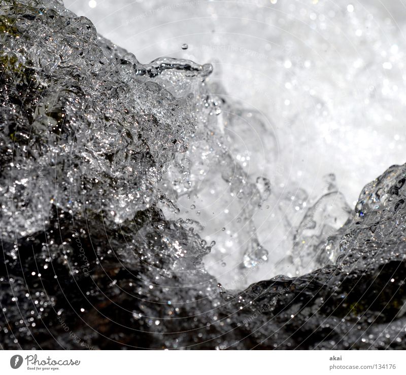 Nass Wildbach Bach spritzig Gischt kalt Reflexion & Spiegelung Fluss Wasser Wasserfall spritzen Schwarzweißfoto Wassertropfen Wasserspritzer Nahaufnahme