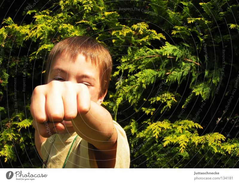 Cassius Clay Junge Kind schlagen kämpfen Faust Hand stark Kampfsport Kommunizieren Boxer Lautsprecher Finte Lichterscheinung Garten Juttaschnecke Außenaufnahme