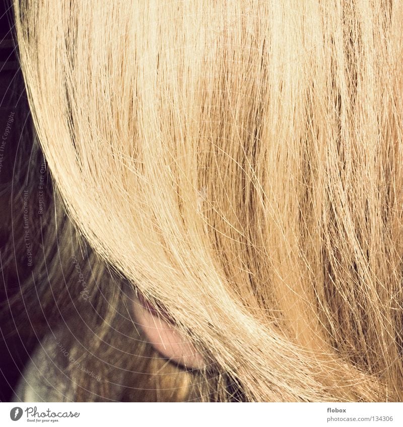 Der Vorhang blond Haare & Frisuren lang Matten Schüchternheit Frau schön Gold Haarausfall Organ zerzaust Reifezeit Wachstum Fell geschnitten frisch Haarfarbe