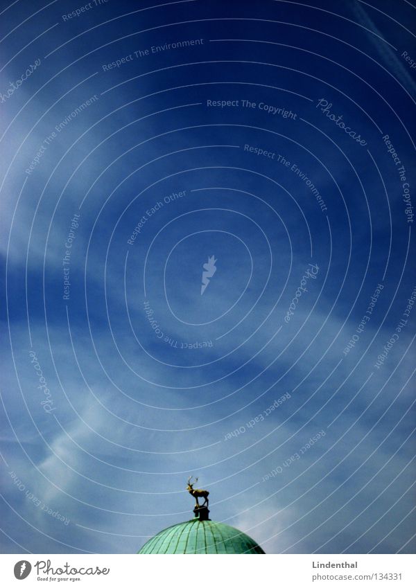 Goldhirsch auf Rieseneis Wolken Hirsche Reh türkis Kuppeldach Denkmal Kunst Detailaufnahme Himmel blau aus gold Kugel Kitsch