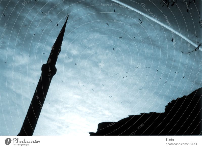Abenstimmung in Istanbul Minarett Moschee Wolken Freizeit & Hobby Abend Himmel