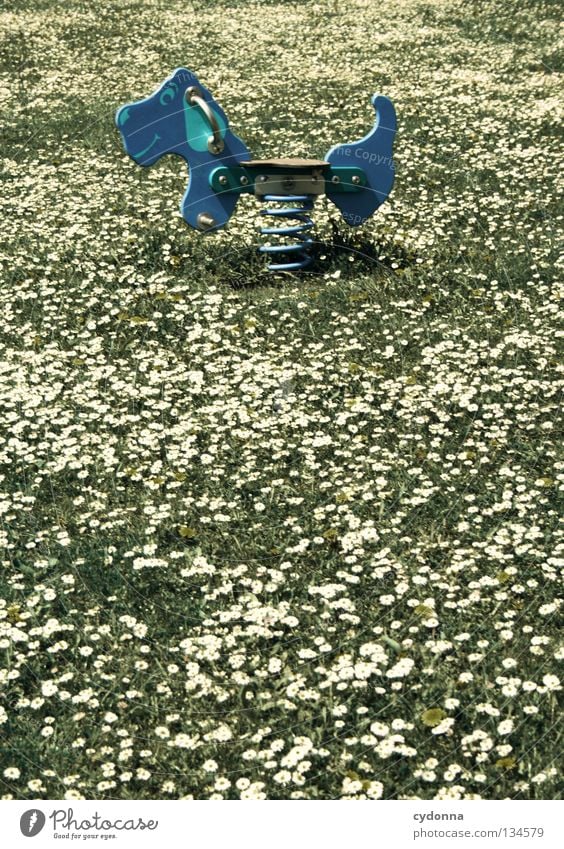 Kindheitsträume Spielen Spielplatz Turnen Aktion Gesundheit Hund Wippe festhalten Freizeit & Hobby Blume Gänseblümchen Wiese gepunktet Frühling Grimasse Laune