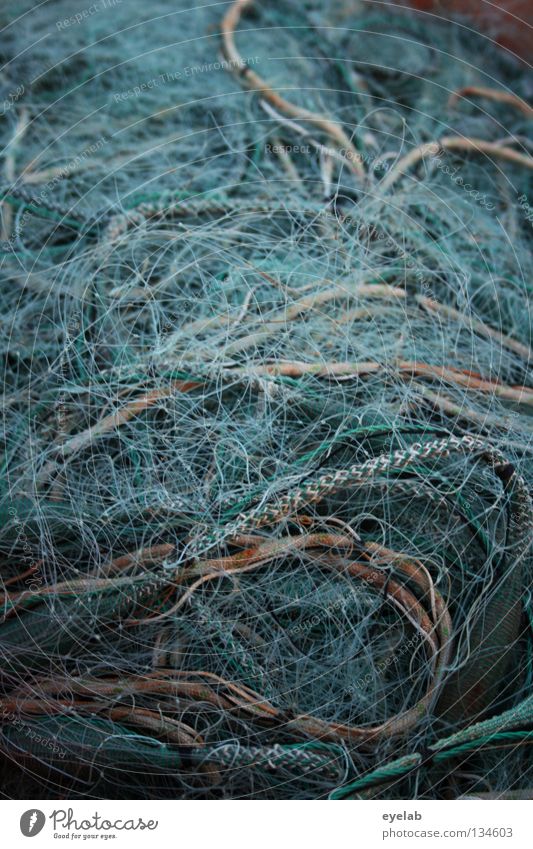 Lecker Bandsalat (jetzt mit Marinade) Seil Nylon Fischernetz Fischereiwirtschaft Meer See Arbeit & Erwerbstätigkeit sortieren durcheinander Knoten Küste