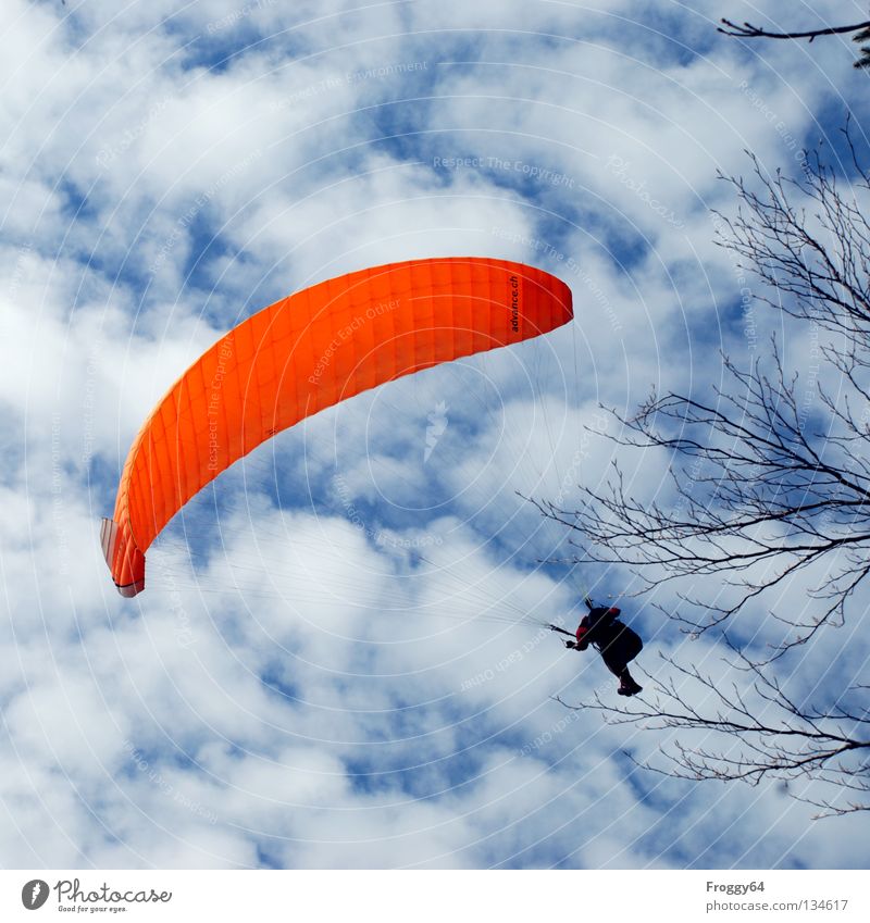 Kratz die Kurve.... Gleitschirm Luft Wolken Pilot schwarz Schauinsland Vogel Freude Sport Spielen Extremsport fliegen Luftverkehr Himmel blau orange Wind Wetter