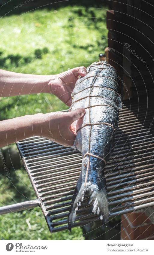 Rohe Lachsfische auf Grill. Fleisch Meeresfrüchte Abendessen Garten frisch rosa rot Schiffsplanken roh Zeder fein gebraten bereit kochen & garen Braten