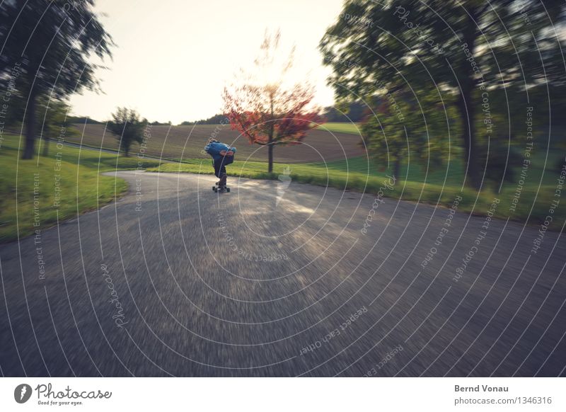 Hinterher Rücken 1 Mensch Bewegung abwärts Skateboard Aerodynamik Kurve Asphalt Straße Geschwindigkeit blau Baum Natur Feld Hügel Freude Sport Rolle Weitwinkel