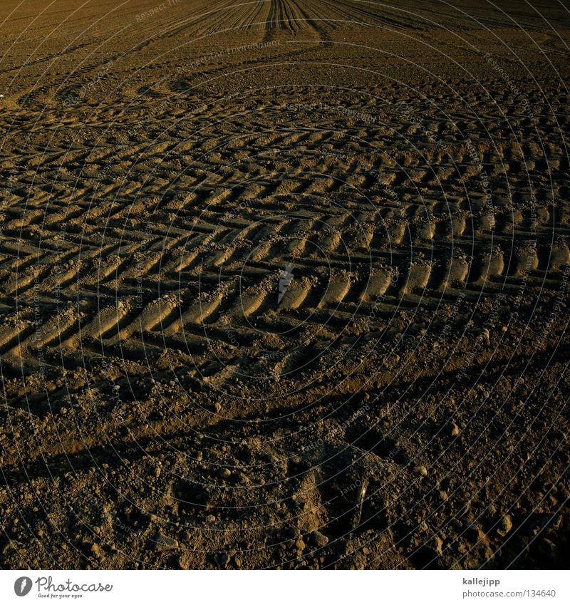 marsrover Feld Landwirtschaft Strukturen & Formen Spuren Reifenspuren Fußspur Erkundung forschen finden Planet Aussaat trocken Desaster Kolchose Klimawandel