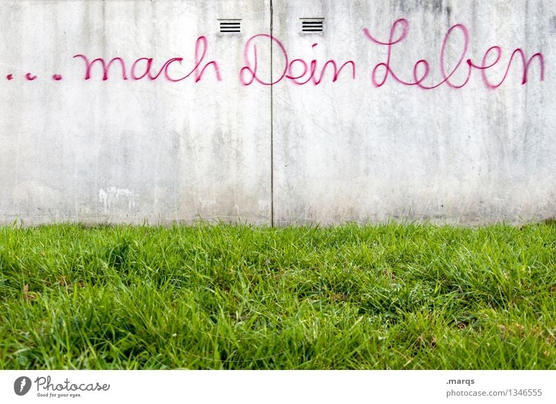 Tu es! Karriere Wiese Mauer Wand Schriftzeichen Graffiti machen frei Gefühle Optimismus Beginn Bildung Gesellschaft (Soziologie) Identität Leben planen