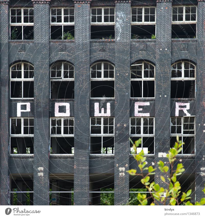 hoch hinaus | mit Power Jugendkultur Ast Industrieanlage Bauwerk Industrieruine Fassade Fenster Schriftzeichen Graffiti kaputt positiv rebellisch Kraft Mut