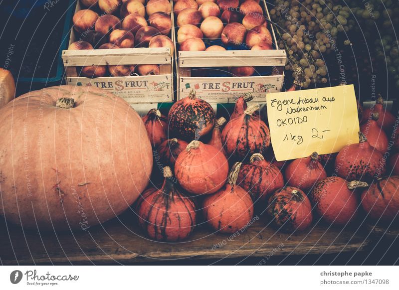 Kürbisse auf Markt zum Verkauf Bioprodukte Lebensmittel Ernährung Vegetarische Ernährung kaufen Gemüseladen frisch Gesundheit Wochenmarkt Marktstand