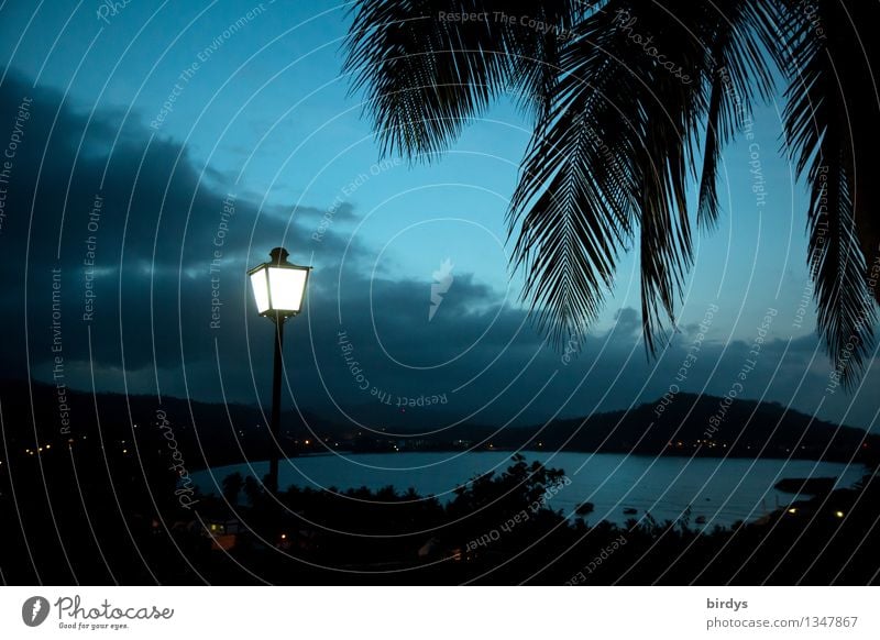 Baracoa, Kuba bei Nacht Ferien & Urlaub & Reisen Sommerurlaub Landschaft Wolken Nachthimmel Palmenwedel Berge u. Gebirge Meer Karibisches Meer Karibik Bucht