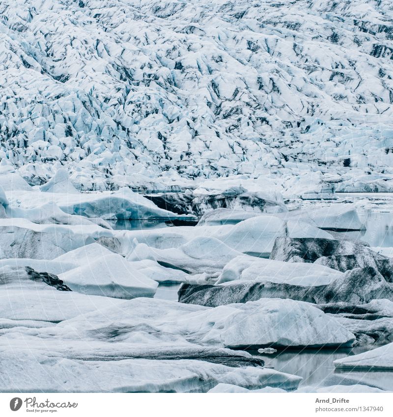 Gletschersee Sommerurlaub Umwelt Natur Landschaft Urelemente Wasser Winter Klima Eis Frost Schnee Hügel Berge u. Gebirge Seeufer Flussufer Bucht kalt blau