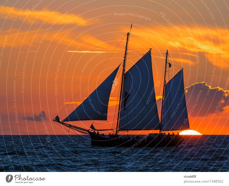 Hanse Sail Ferien & Urlaub & Reisen Wellen Segeln Wasser Wolken Küste Ostsee Meer Segelschiff Wasserfahrzeug maritim blau Romantik Idylle Natur Tourismus