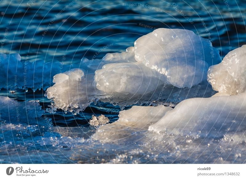 Eis Winter Wasser Frost Küste Ostsee Meer kalt Natur Figur gefroren Eisscholle Ostseeküste frostig Eisbildung Jahreszeiten Farbfoto mehrfarbig Außenaufnahme Tag