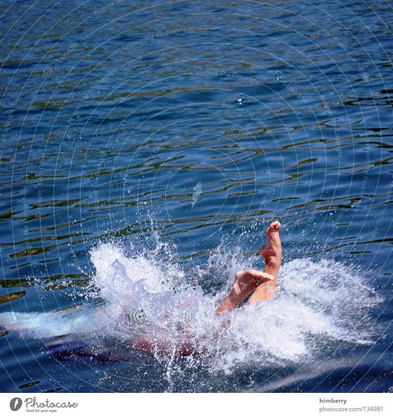 deepblue Schwimmsportler Mann tauchen Taucher Mensch nass Meer See springen Kopfsprung Ferien & Urlaub & Reisen Sport Erfrischung Sommer Wassersport