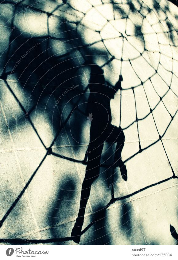 Arachnoid Spinne Spielplatz Kind Spinnenetz Bewegungsdrang Superhelden Netzt Spider schwarze Witwe