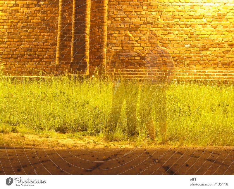 Imaginär anwesend Justizvollzugsanstalt Mauer Nacht gelb Langzeitbelichtung Geister u. Gespenster Hologramm durchsichtig Wiese Gras Steinboden Backstein Frau