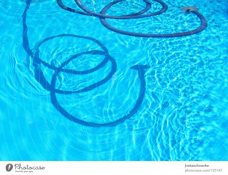 Seeschlange Schlauch Schwimmbad saugen Reinigen türkis biegen Frühling Sommer Freizeit & Hobby Pool saugen Schatten Wasser blau drehen eingerollt Garten