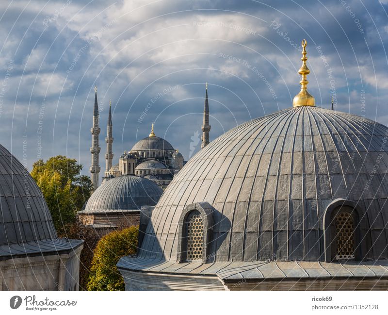 Moschee Ferien & Urlaub & Reisen Baum Stadt Turm Bauwerk Gebäude Architektur Sehenswürdigkeit Wahrzeichen Idylle Religion & Glaube Tourismus Istanbul Türkei