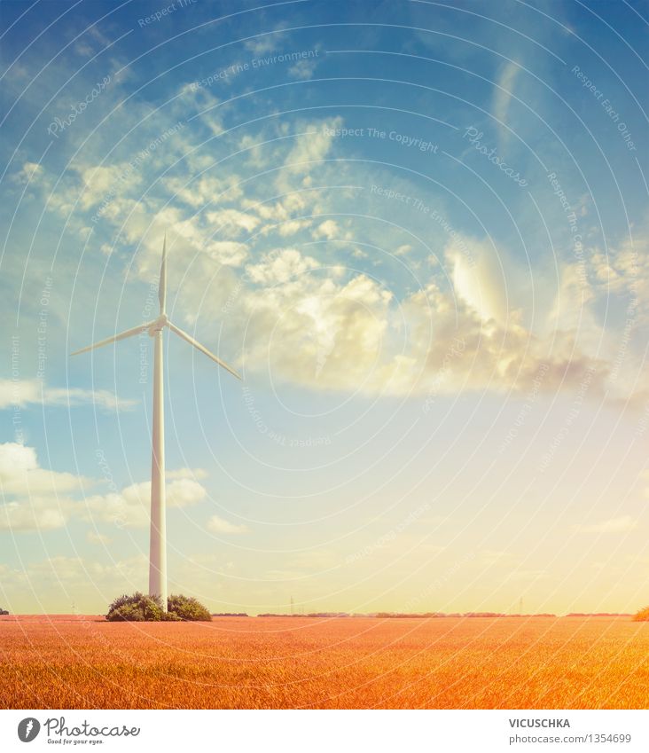 Windkraftanlage auf dem Feld Sommer Veranstaltung Fortschritt Zukunft High-Tech Energiewirtschaft Erneuerbare Energie Natur Himmel Sonnenaufgang Sonnenuntergang