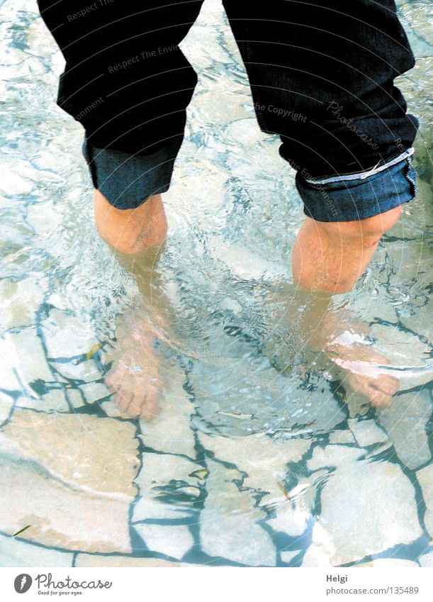 Männerbeine im Wasser beim Wassertreten mit aufgekrempelter Jeanshose nass kalt Gesundheit Wellness Durchblutung gehen Wade Schienbein Zehen Knie Hose