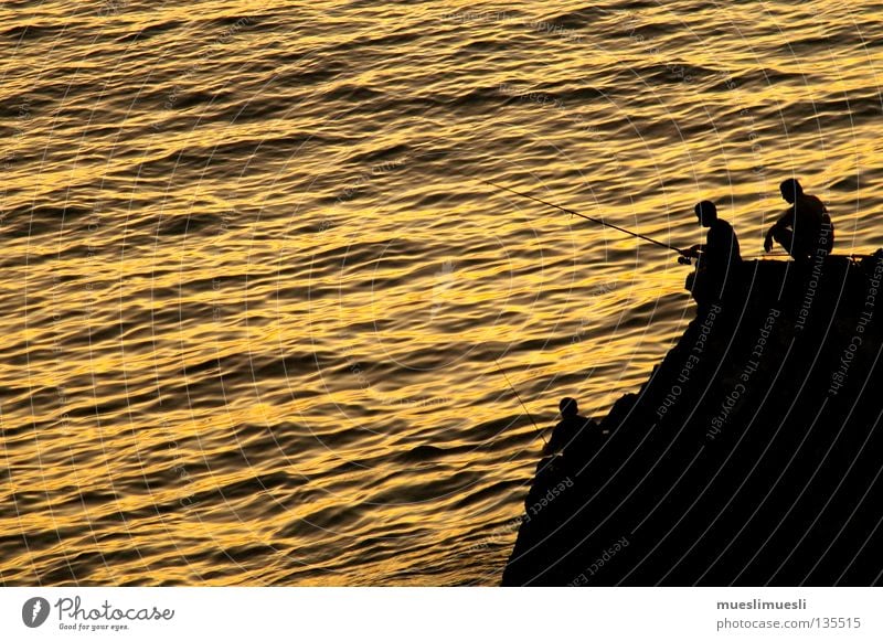 Fisherman's friends Fischer Sonnenuntergang Klippe Küste Mann Abend dunkel Romantik Nacht Meer Madeira Portugal Einsamkeit gelb schwarz Sonnenaufgang Angeln
