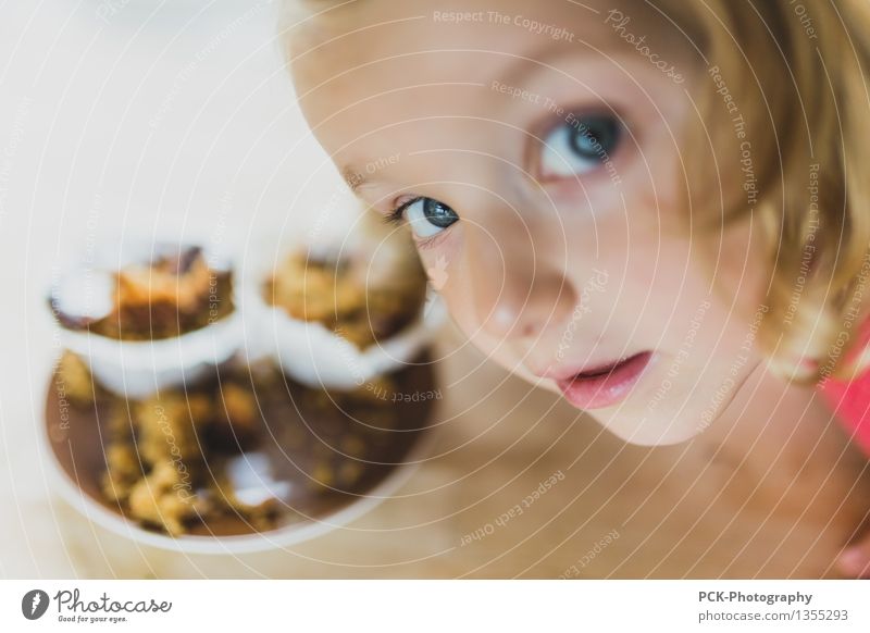 muffin feminin Kind Kleinkind Mädchen Familie & Verwandtschaft Kindheit 3-8 Jahre 8-13 Jahre Essen genießen Muffin entwenden Schokoladenkuchen Blick lieblich