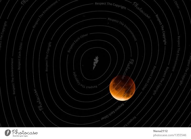 MoFi 4 - Totale Umwelt Natur Urelemente Himmel Himmel (Jenseits) Nachthimmel Mond Mondfinsternis Vollmond ästhetisch außergewöhnlich bedrohlich dunkel
