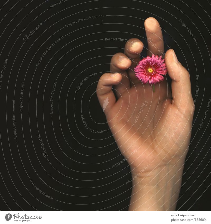 .fleur Hand Finger Blume Blüte berühren Gefühle Scanner Intuition Gefäße Fingerabdruck Fototechnik scan-art fingerspitzen Blattadern Farbfoto