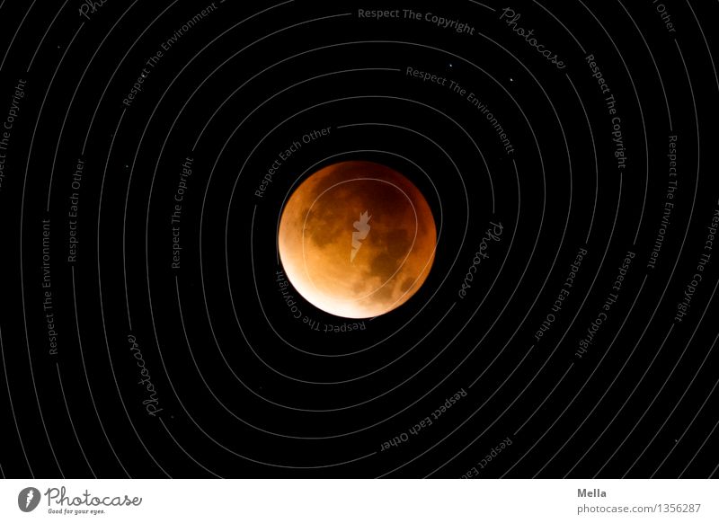 Mellas Mofi 2015 Umwelt Natur Himmel Nachthimmel Stern Mond Mondfinsternis außergewöhnlich bedrohlich dunkel natürlich rund orange rot schwarz Stimmung