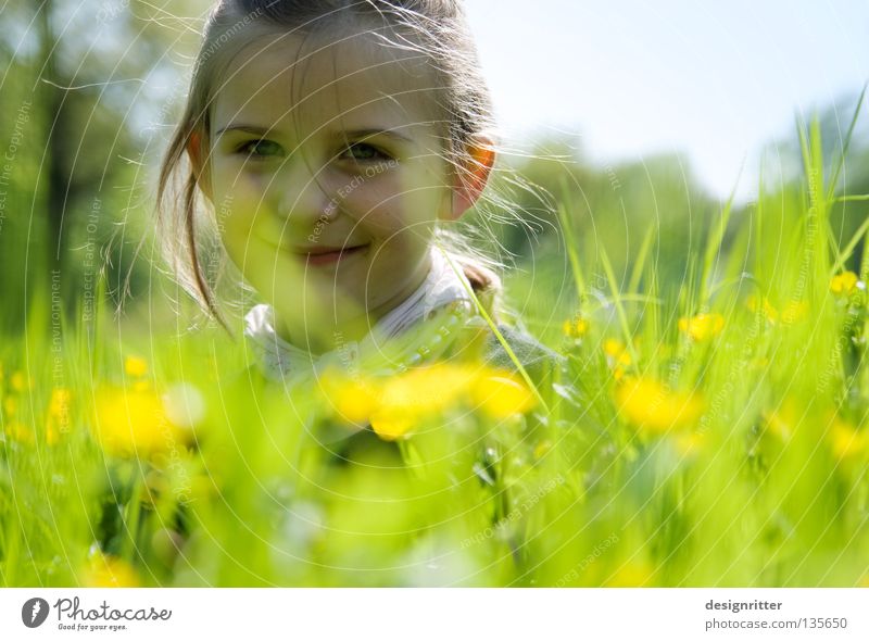 Blumenkind Kind Mädchen Frühling Sommer Physik Wiese Gras Gesundheit Pollen Blüte Tier Insekt Zecke verträumt träumen tauchen harmonisch Suche finden Löwenzahn